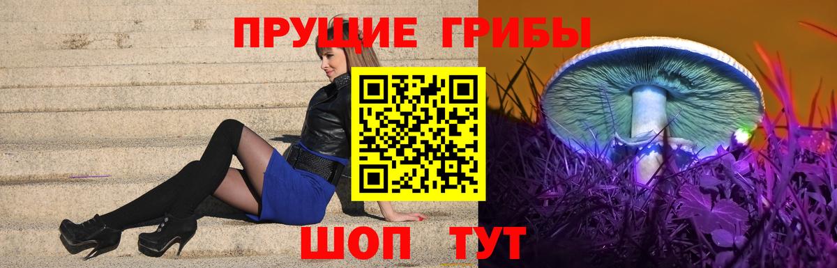 Галлюциногенные грибы мицелий Муром