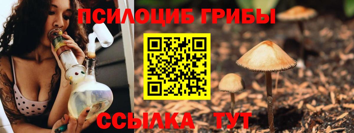 Муром  Галлюциногенные грибы Cubensis  Вход с VPN 